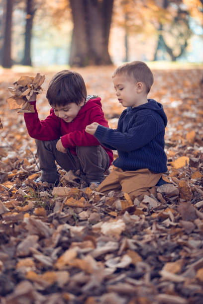 istock Two friends playing with autumn leaves in park 665985410