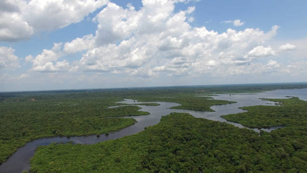 istock Aerial View of Amazon Rainforest in Brazil 665985502