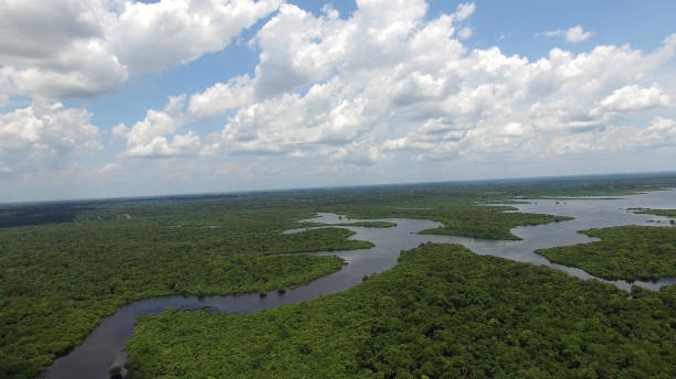 istock Aerial View of Amazon Rainforest in Brazil 665985526