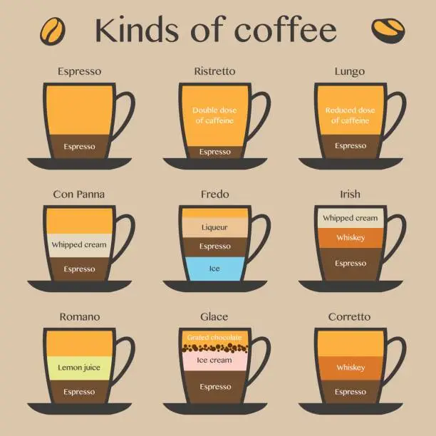 Vector illustration of kinds of coffee