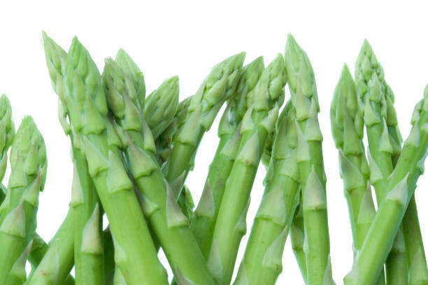 Asparagus