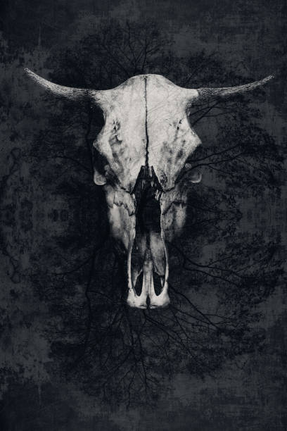 istock Double exposure. The skull of a bull with horns and tree 665995256