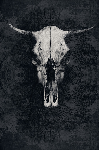 Double exposure. The skull of a bull with horns and tree. Abstract background, texture, grunge