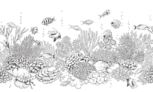 Coral Reef And Fishes Pattern Stock Illustration - Download Image Now - Reef,  Fish, Coral - Cnidarian - iStock
