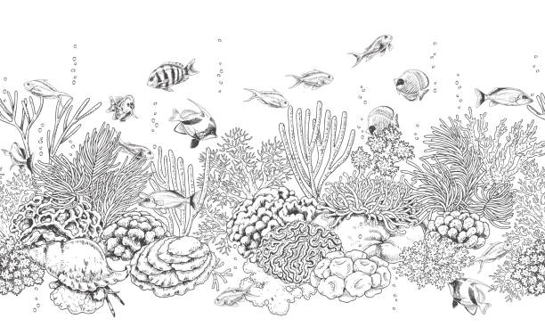 Coral Reef and Fishes Pattern Hand drawn underwater natural elements. Seamless line horizontal pattern with reef corals, actinia, clams and swimming fishes. Monochrome sea bottom texture. Black and white illustration. fish drawings stock illustrations