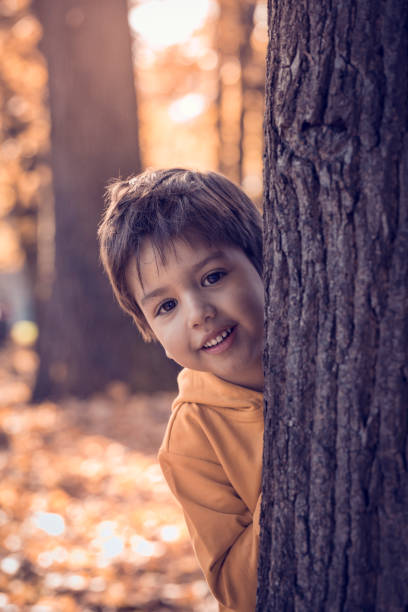 istock Boy peeking behind the tree in park 665997102