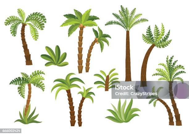 Decorative Palm Trees Set Stock Illustration - Download Image Now - Palm Tree, Tree, Tropical Tree