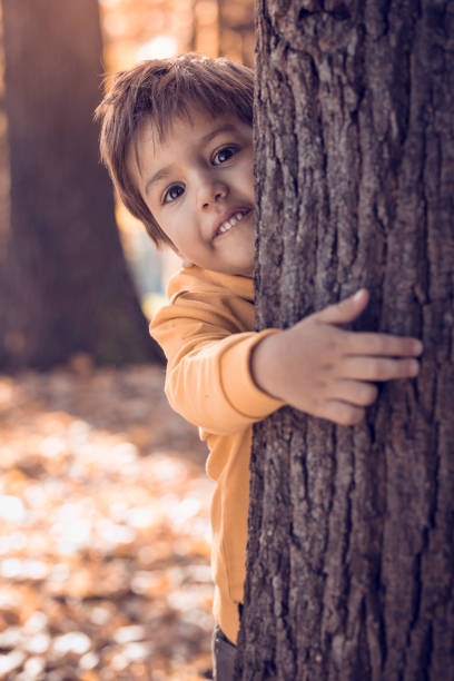 istock Boy peeking behind the tree in park 666002452