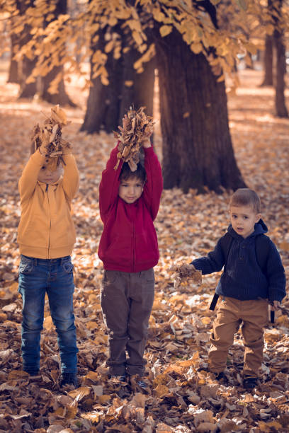 istock Three friends playing with autumn leaves in park 666002518