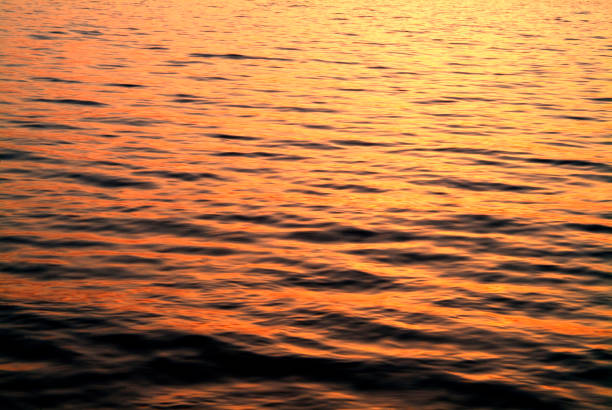 istock Surface of the water 666002626