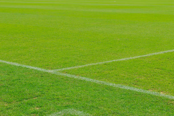 istock Football field 666020604