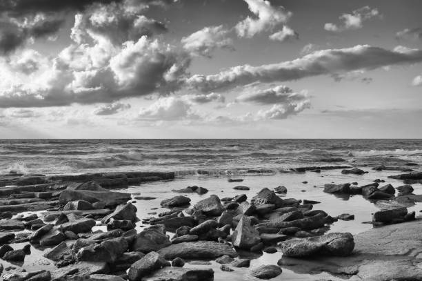 istock background of beach and sea, black and white image 666023524