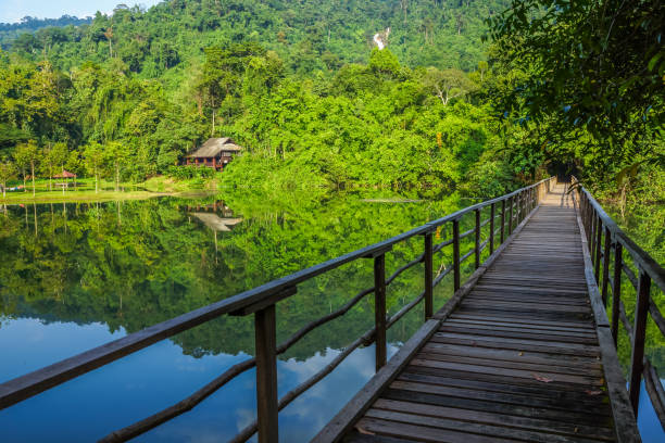 istock Wooden bridge in national park 666024648