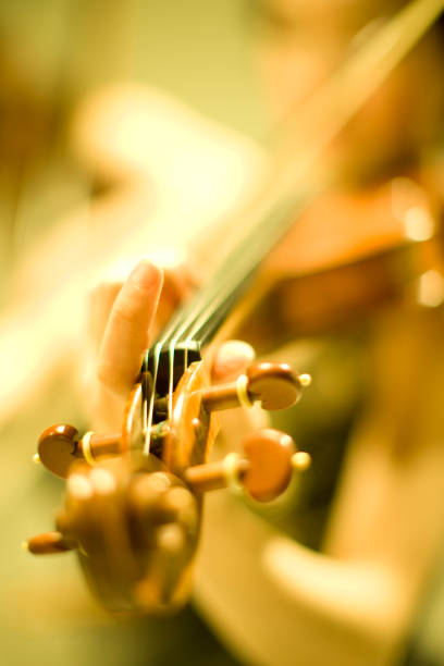 istock Woman playing the violin 666031620