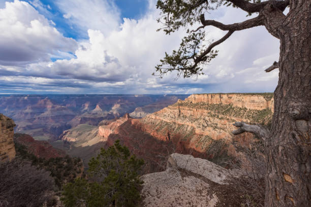 istock Grand Canyon National Park (USA) 666047590