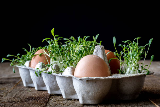 istock Easter mood in old kitchen on wooden table 666048256