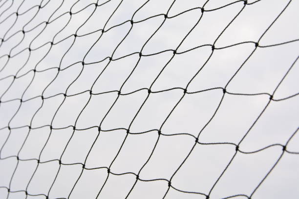 istock Net pattern. Rope net silhouette. Soccer and football net pattern. 666051608