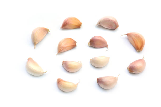 istock Fresh white garlic isolated on white background 666054432