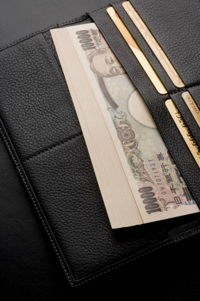 istock Money and the wallet 666057896