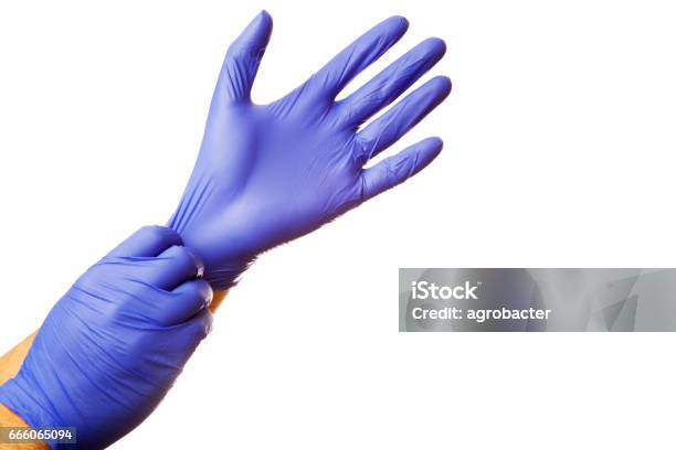 Doctor Putting On Protective Blue Gloves Isolated On White Stock Photo - Download Image Now