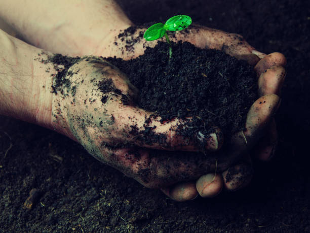 istock Gardener hands preparing soil for seedling in ground 666072112