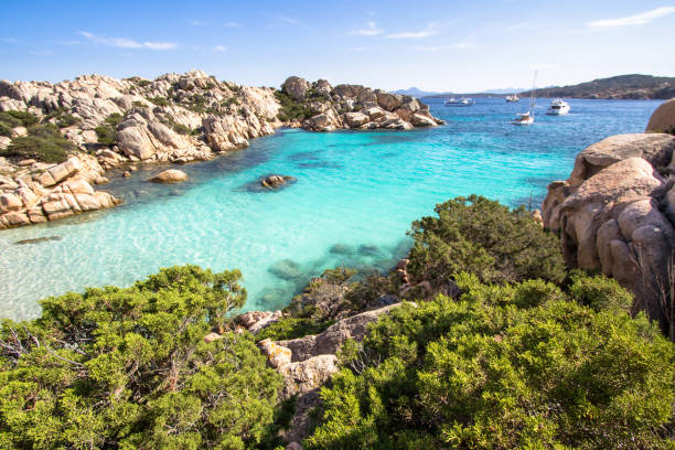 istock Beach of Cala Coticcio, Sardinia, Italy 666072254