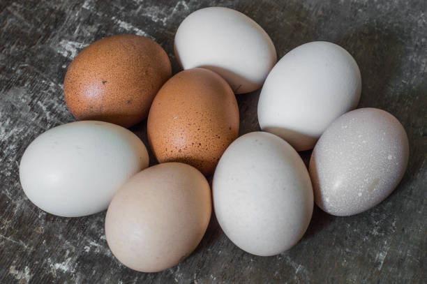 istock Eight fresh chicken eggs on an old wooden background 666072398