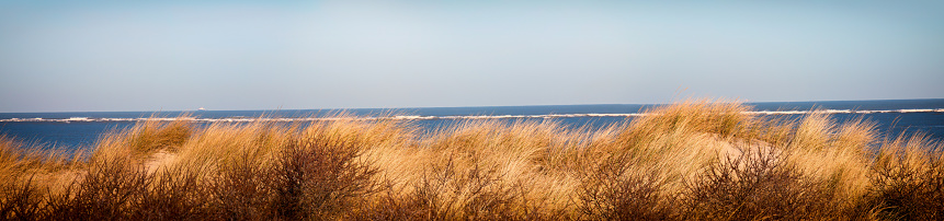 Panorama of a dune at the North Sea, ship on the horizon. Dune covered with beach oats and sanddorn.
