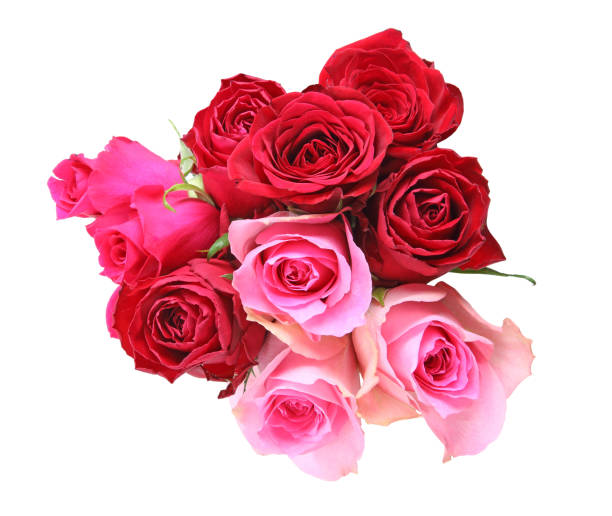 istock Bouquet of roses 666076446