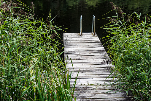 A small jetty leading into the meadow lake, overgrown with reeds and rushes. Photograph taken near Krakaudorf, Styria, Austria.