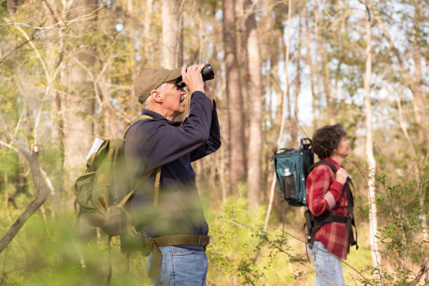 Active senior adult couple hiking in woods. Active senior adult couple hiking through a wooded forest area.  They wear backpacks and use binoculars to watch birds as they enjoy nature. bird watching photos stock pictures, royalty-free photos & images