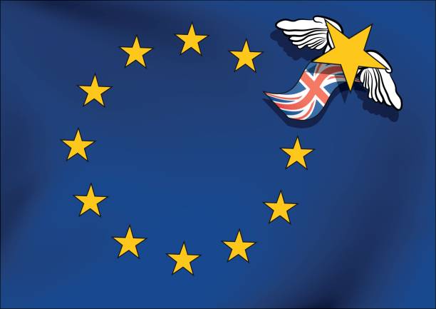 ilustrações de stock, clip art, desenhos animados e ícones de european union flag without one star after brexit - european union flag flag backgrounds star shape