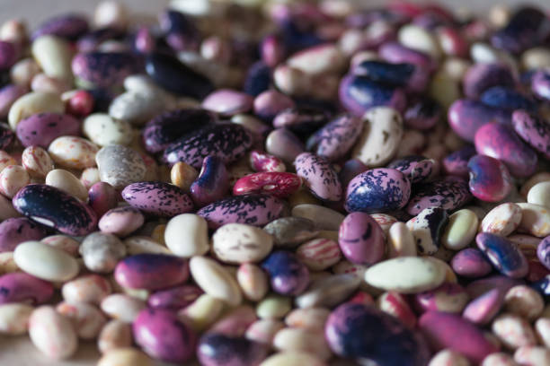 Multi colored pile of shelled beans of kidney bean on the table. Illuminated by soft daylight.