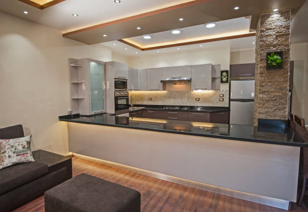 istock Modern kitchen in a luxury apartment 666114718