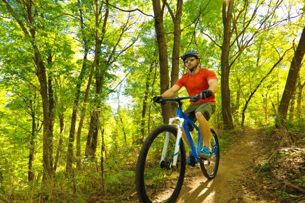 istock Mountain Biking in Wooded Biking Trail 666114904