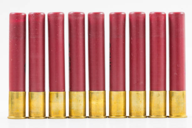 Row Of 410 Shotgun Shells Stock Photo - Download Image Now - Shotgun,  Ammunition, Army - iStock