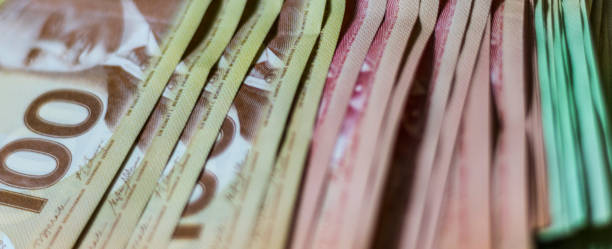 istock Stack of Canadian Cash 666122530