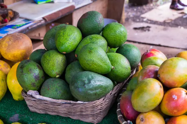 Hawaii farmer's market with avocado and mango alongside other tropical fruits from this island paradise.