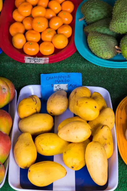 Hawaii farmer's market with avocado and mango alongside other tropical fruits from this island paradise.