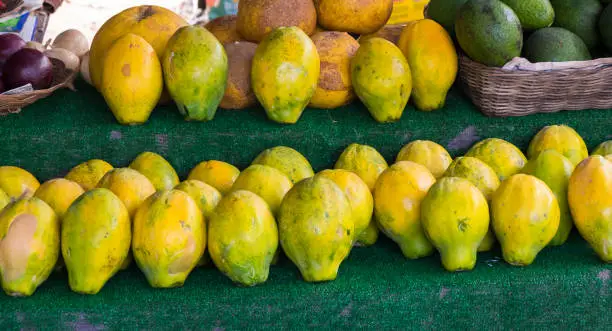 Farmer's market on the North Shore of Oahu Hawaii with green, yellow, and white papayas for sale.