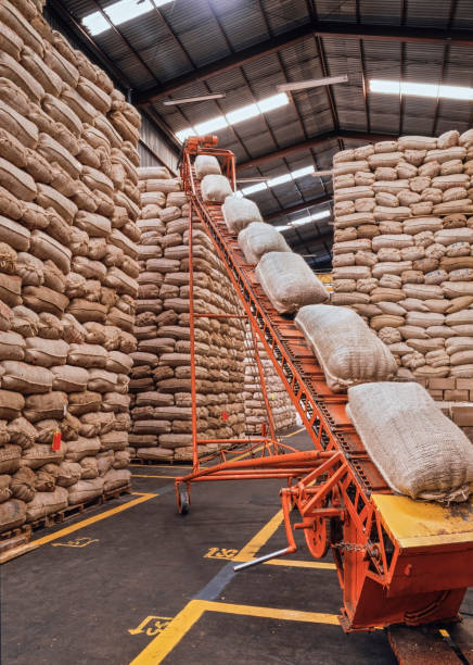 istock Sacks full of grains 666137266