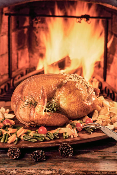 Christmas Turkey Stuffed turkey with fiery fireplace background winter chicken coop stock pictures, royalty-free photos & images