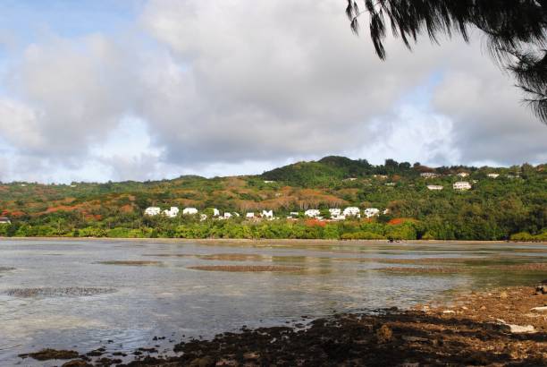 istock Flame trees along the coastline, Saipan 666149772