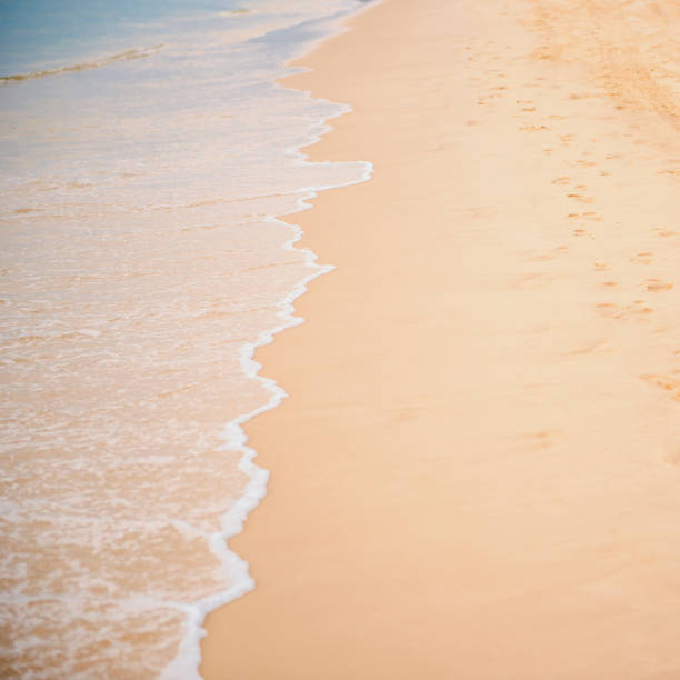 istock Tangalooma Island beach in Moreton Bay. 666156866