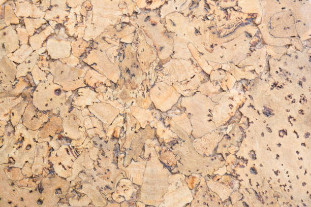 istock texture of cork board wood surface, natural wooden decorative panel, abstract background 666180546