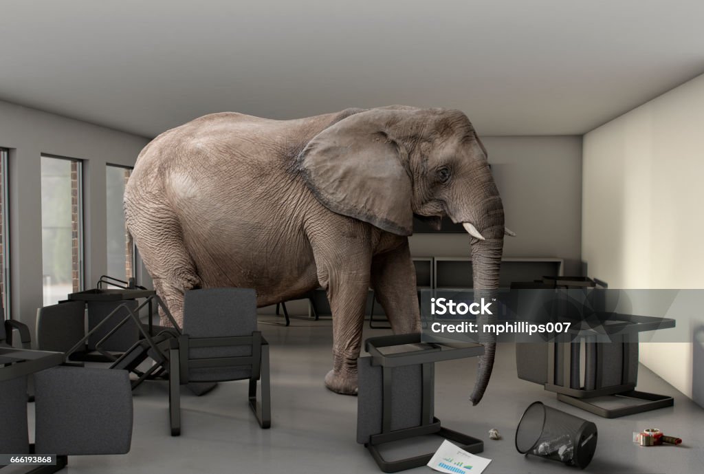 Elephant in the Room Elephant in the Room - A large elephant in an office meeting room with chairs and paper work knocked over. Elephant Stock Photo