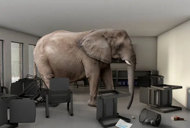 Elephant in the Room - A large elephant in an office meeting room with chairs and paper work knocked over.