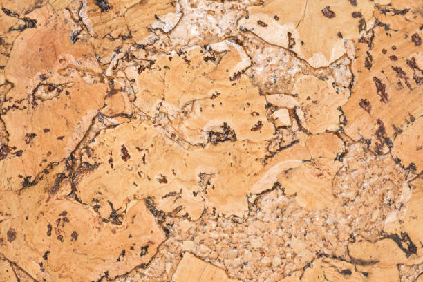 istock texture of cork board wood surface, natural wooden decorative panel, abstract background 666193902