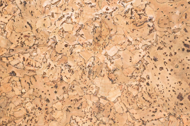 texture of cork board wood surface, natural wooden decorative panel, abstract background