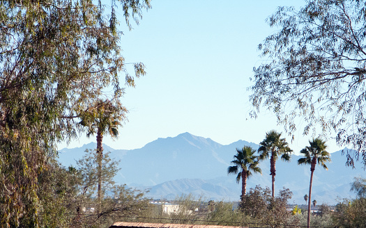 Arizona tropical desert setup with a view on White tanls mountains near Litchfiled Park, west side of Phoenix, AZ